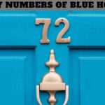 Lucky Numbers of Blue Houses