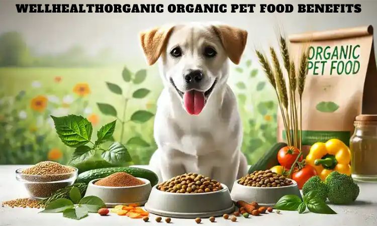 Wellhealthorganic Organic Pet Food Benefits